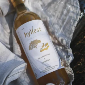 Varm Hylleblomst & Ingefærdrikk