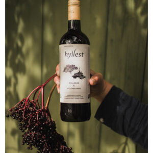 Hyllebær & Hylleblomstdrikk